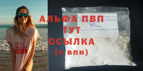 сатива Волоколамск