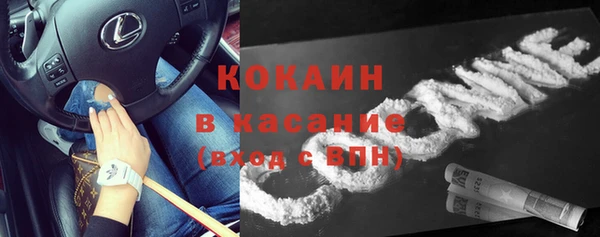 сатива Волоколамск