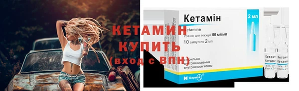 сатива Волоколамск