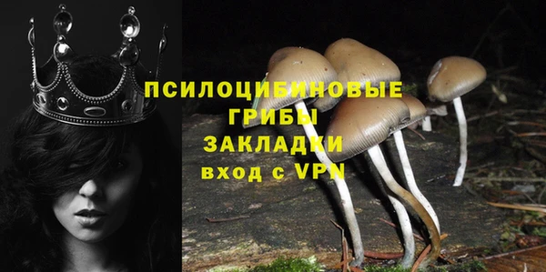 сатива Волоколамск