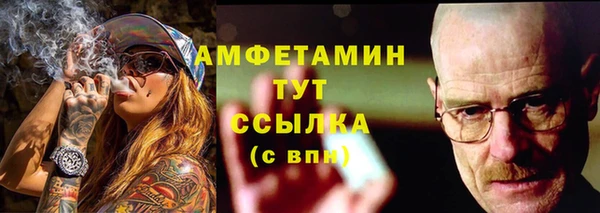сатива Волоколамск