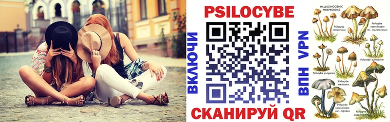 даркнет сайт  Шахты  Псилоцибиновые грибы Psilocybe 
